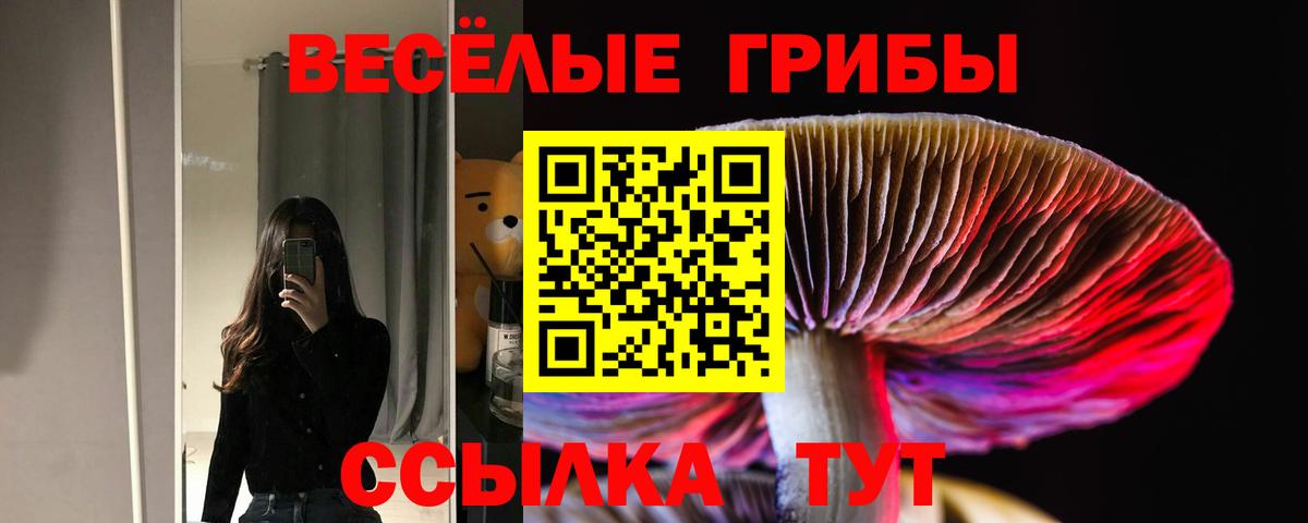 Псилоцибиновые грибы ЛСД  Вход с VPN  Галлюциногенные грибы GOLDEN TEACHER  Крымск 